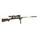 Pack Carabine Browning T-BOLT sporter threaded 22LR + Lunette 6-24x50 + Silencieux + Bipied 