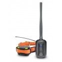 DOGTRA Pathfinder Mini GPS Centrale + collier de repérage et dressage pour chiens 