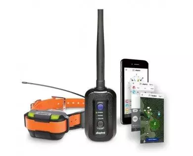DOGTRA Pathfinder Mini GPS Centrale + collier de repérage et dressage pour chiens 
