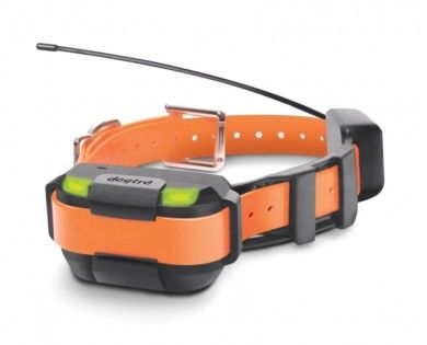 Collier supplémentaire DOGTRA Pathfinder Mini 
