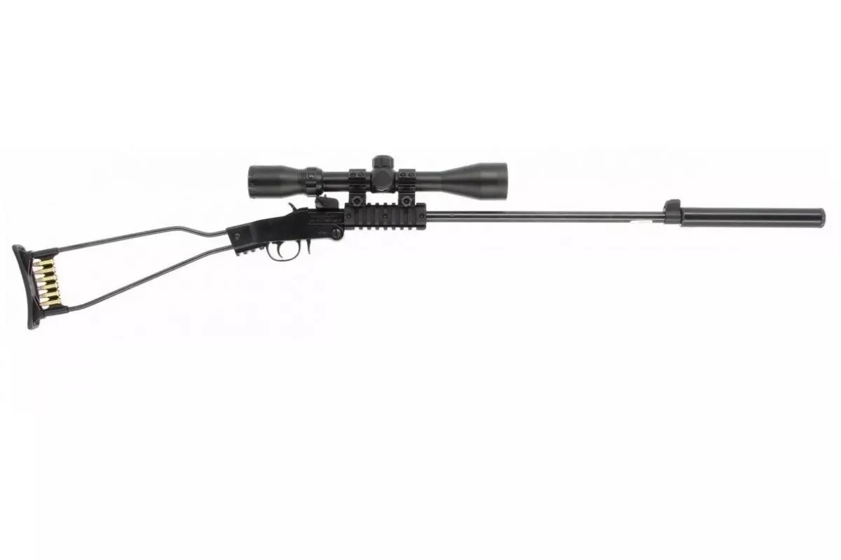 Carabine Little Badger 22LR Chiappa + Lunette 3-9x40 + Silencieux 