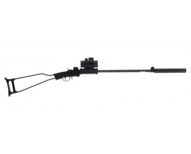 Pack Carabine Little Badger 22LR Chiappa + Silencieux + viseur Point Rouge RD30 