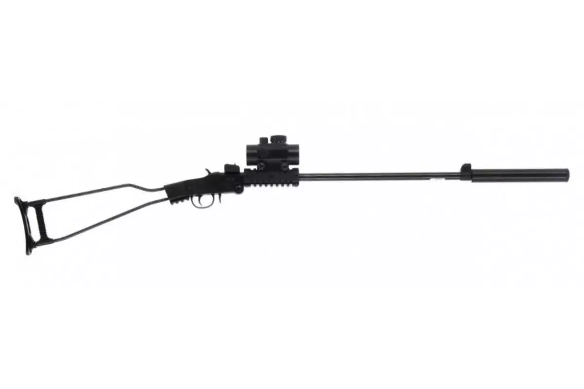 Pack Carabine Little Badger 22LR Chiappa + Silencieux + viseur Point Rouge RD30 