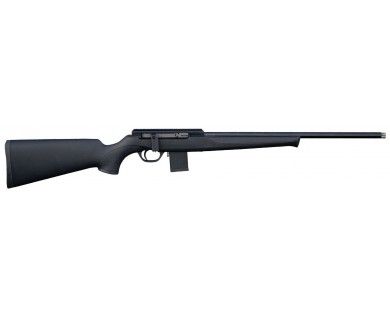 Carabine ISSC SPA synthétique noire calibre .17 HMR 