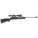 Carabine Gamo Big Cat 1000-E IGT synthétique calibre 4.5 mm 19,9 Joules + Lunette 6-24x50 