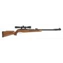 Carabine Gamo CFX Royal bois à canon fixe calibre 4.5 mm 19,9 Joules + Lunette 3-9x40 