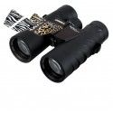 Jumelles Steiner Safari UltraSharp 10x42 