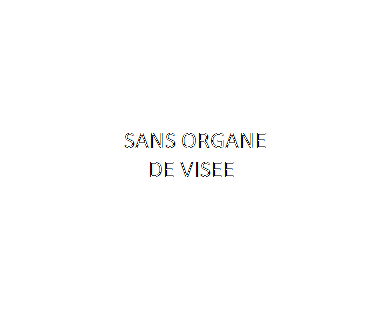 Sans Organes de visée pour MARAL / BAR 4X 