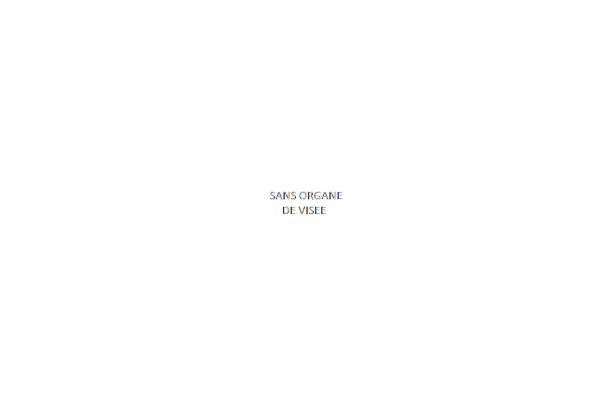 Sans Organes de visée pour MARAL / BAR 4X 