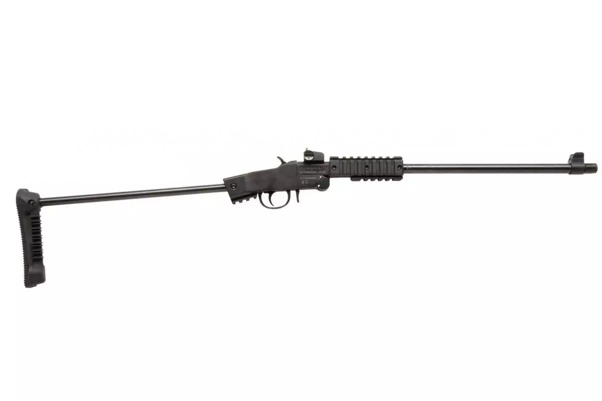 Carabine CHIAPPA Little badger take down Xtrem noire calibre 22LR 