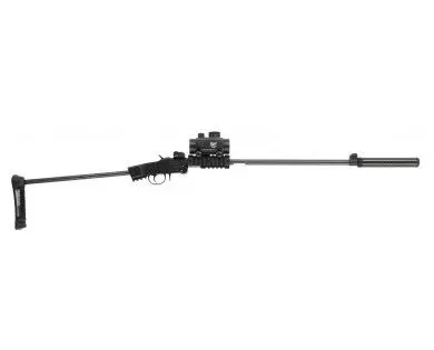 Carabine CHIAPPA Little badger take down Xtrem noire calibre 22LR + Point rouge et Silencieux 