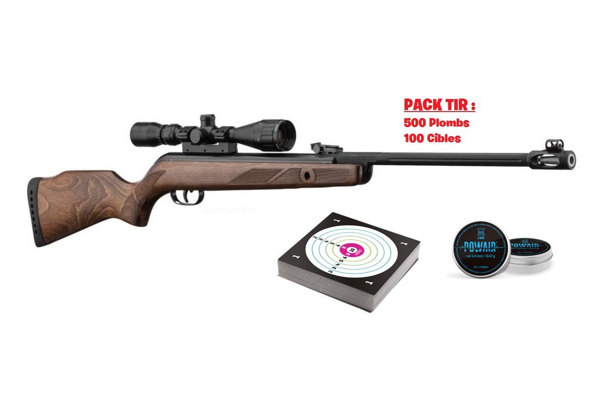 Carabine Gamo HUNTER 440 + Lunette 3-9x40 WR + Pack Tir