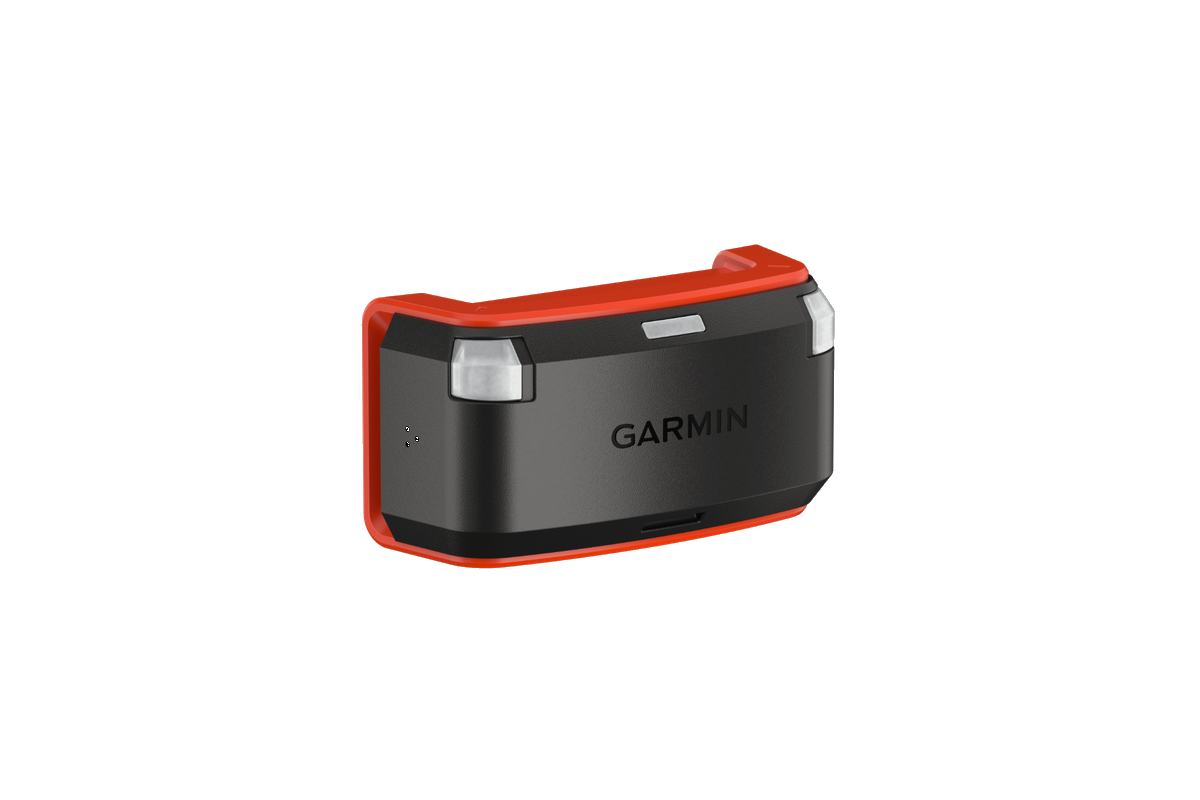 Collier pour chien Garmin T 5X F