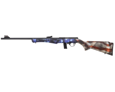 CARABINE ROSSI 8122 CALIBRE 22LR SYNTHÉTIQUE U.S.A avis, car...