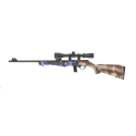 Carabine Rossi 8122 Calibre 22LR Synthétique U.S.A + Lunette 3-9x40 avis, caractéristiques, performances