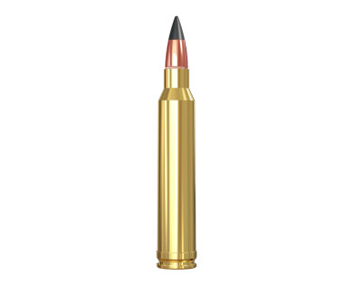 Munitions de chasse Winchester Extreme Point 300 Win Mag 180gr