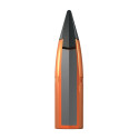 Munitions de chasse Winchester Extreme Point 300 Win Mag 180gr