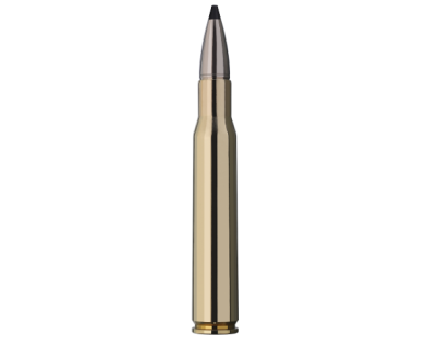 Munitions RWS Speed Tip Pro calibre 30-06 165 grains avis, c...
