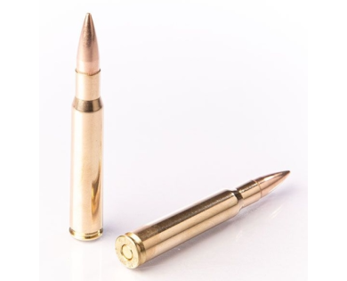 Munitions FIOCCHI calibre 30-06 147 grains FMJ avis, caracté...