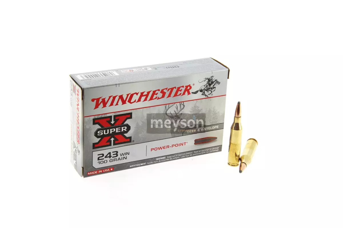 Munitions Winchester 243win Power-Point 100