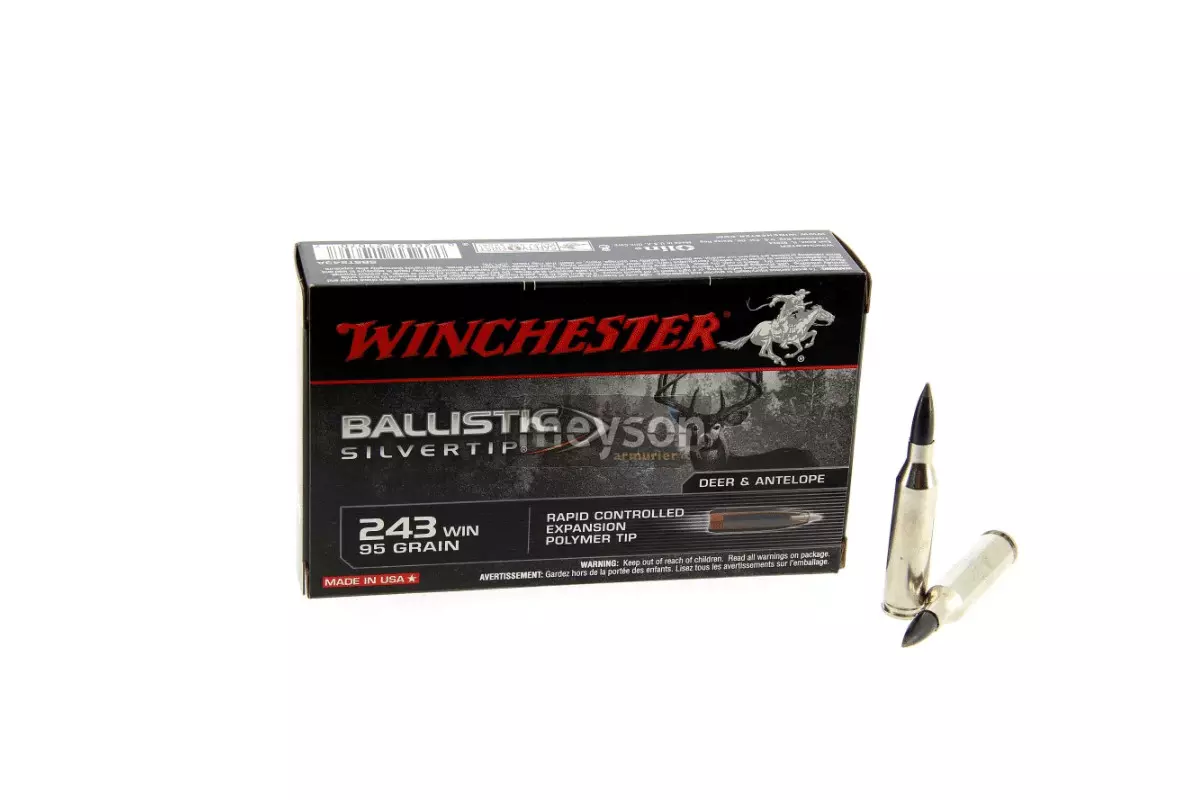 Munitions Winchester 243win Ballistic Silvertip 95