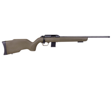 Carabine à verrou DIANA R-22 Classic calibre 22 LR crosse po...