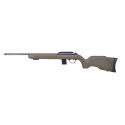 Carabine à verrou DIANA R-22 Classic calibre 22 LR crosse po...