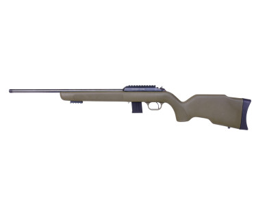Carabine à verrou DIANA R-22 Classic calibre 22 LR crosse po...