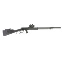 Carabine à levier sous garde DERYA TM22 black calibre 22LR + Point Rouge ET Silencieux avis, caractéristiques, performances