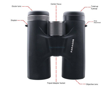 Jumelles Vector Optics Paragon 10x42