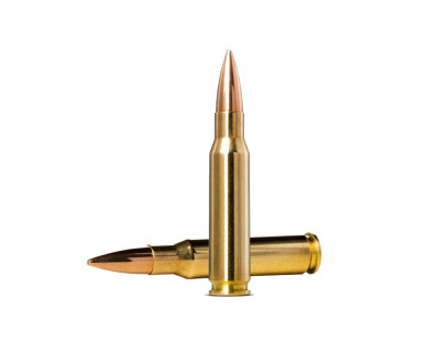 Munitions NORMA Golden Target calibre 308 Winchester - 175 g...