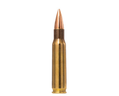 Munitions NORMA Range & Training calibre 308 Winchester - 15...