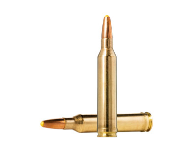 Munitions Norma Calibre 7mm Rem Mag 170 Ppdc Pte Plast