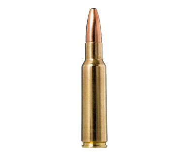 Munitions NORMA Oryx calibre 8,5x55 Blaser - 230 grains avis...