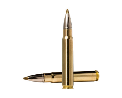 Munitions NORMA Evostrike calibre 9,3x62 - 184 grains