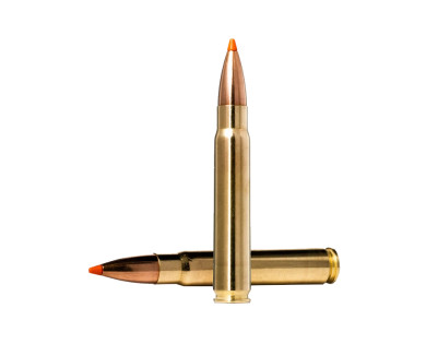 Munitions NORMA Tipstrike calibre 9,3x62 - 255 grains