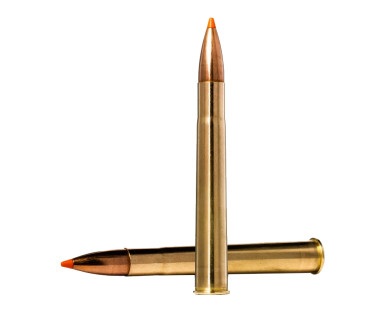Munitions NORMA Tipstrike calibre 9.3x74 R - 255 grains avis...