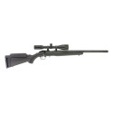 Carabine RUGER American Rimfire Custom Carbon + Lunette 3-9x40