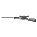 Carabine à air comprimé IGT Gamo Viper PRO 10X + Lunette 3-9x40 Air Force Optics
