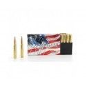 Cartouches 30-06 Springfield 180 gr InterLock SP American Whitetail x 20 Hornady 