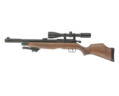 Carabine PCP Gamo Riser Punisher 5,5 mm 40 Joules + Lunette 6-24x50 + Pompe + Bipied
