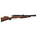 Carabine PCP Gamo Riser Punisher 5,5 mm 40 Joules