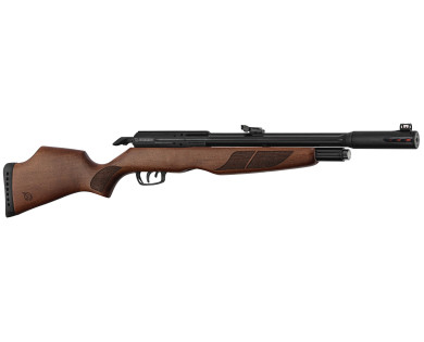 Carabine PCP Gamo Riser Punisher 5,5 mm 40 Joules