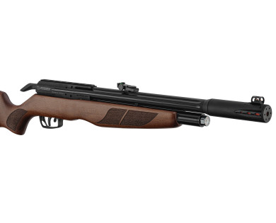 Carabine PCP Gamo Riser Punisher 5,5 mm 40 Joules