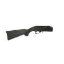 Carabine Ruger 10-22 Takedown Calibre 22Lr ***occasion***