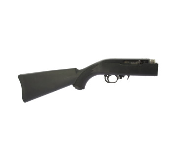 Carabine Ruger 10-22 Takedown Calibre 22Lr ***occasion***