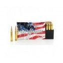 Cartouches 7mm Rem Mag 154 gr InterLock SP American Whitetail x 20 Hornady 