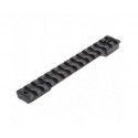 Rail Picatinny Recknagel pour Carabines 