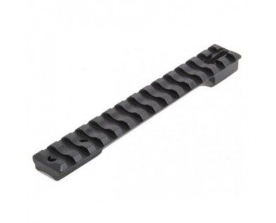 Rail Picatinny Recknagel pour Carabines 