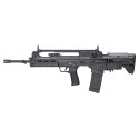 Carabine SPRINGFIELD ARMORY Hellion Calibre .223 Remington Canon 20 Pouces